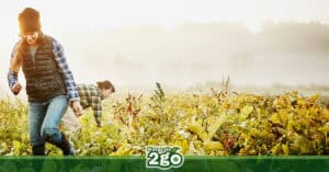 Healthy Eating Series: What Does it Really Mean to Eat "Organic"